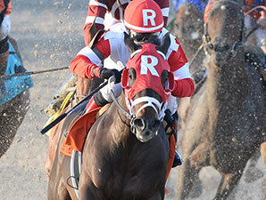 Into Mischief Confirms He's a Sire to Watch Into Mischief Confirms He's a Sire to Watch