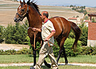 Around the Globe: Classic Winners in Turkey