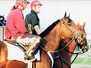 Victory Gallop in Canadian Hall of Fame Victory Gallop in Canadian Hall of Fame