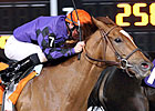 Victory Pool Makes Final Start