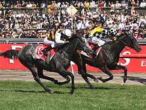 Viewed Wins Melbourne Cup by a Nose Viewed Wins Melbourne Cup by a Nose