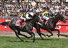 Viewed Wins Melbourne Cup by a Nose Viewed Wins Melbourne Cup by a Nose