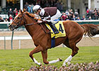 J S Bach, Villandry Scratched From FG Stakes J S Bach, Villandry Scratched From FG Stakes