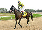 Haskin: Puckish Pletcher Pair Haskin: Puckish Pletcher Pair