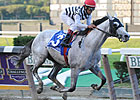 Stars Line Up for Chance at Cigar Mile