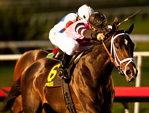 Unbeaten Violence Wins CashCall Futurity Unbeaten Violence Wins CashCall Futurity