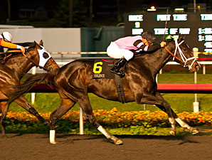 Violence Fractures Sesamoid, Off Derby Trail Violence Fractures Sesamoid, Off Derby Trail