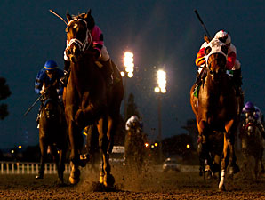 CashCall Futurity Heads Stakes at Hollywood CashCall Futurity Heads Stakes at Hollywood