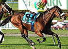 Violon Sacre Rallies to Win Knickerbocker Violon Sacre Rallies to Win Knickerbocker