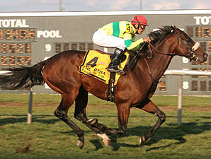 Knickerbocker: Violon Sacre Faces Salty Foes Knickerbocker: Violon Sacre Faces Salty Foes