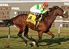 Knickerbocker: Violon Sacre Faces Salty Foes