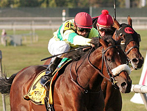 Violon Sacre in Tune for President's Cup Win Violon Sacre in Tune for President's Cup Win