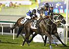 Viscount Nelson Masters Al Fahidi Fort Viscount Nelson Masters Al Fahidi Fort