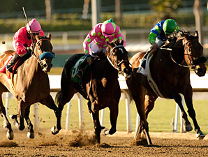 Vision in Gold Shines in Santa Maria Win Vision in Gold Shines in Santa Maria Win