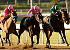 Vision in Gold Shines in Santa Maria Win Vision in Gold Shines in Santa Maria Win
