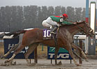 Visionaire Finds Way in Foggy Gotham 