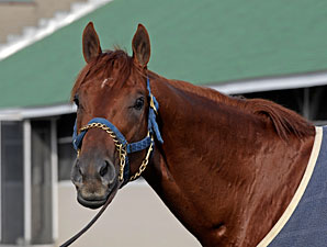 Name Games: Origins of Derby Monikers Name Games: Origins of Derby Monikers