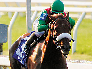 Visionaire Headed for Gotham Stakes Visionaire Headed for Gotham Stakes