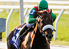 Visionaire to Get Biggest Test in Gotham