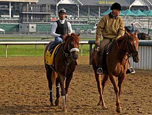 Matz is Quietly Confident in Visionaire Matz is Quietly Confident in Visionaire