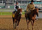Matz is Quietly Confident in Visionaire