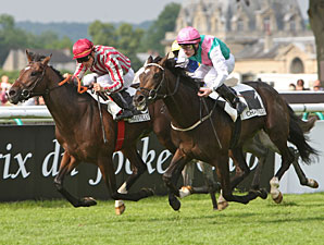 Clear 'Vision' in Prix du Jockey-Club Clear 'Vision' in Prix du Jockey-Club