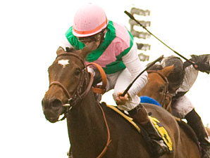 Tuscan Evening, Visit Clash in Royal Heroine Tuscan Evening, Visit Clash in Royal Heroine
