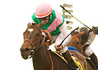 Tuscan Evening, Visit Clash in Royal Heroine Tuscan Evening, Visit Clash in Royal Heroine