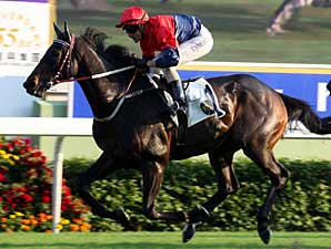 Viva Pataca Wins International Cup Trial Viva Pataca Wins International Cup Trial
