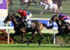 Viva Pataca Wins International Cup Trial Viva Pataca Wins International Cup Trial