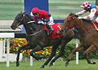 Viva Pataca in Line For Hong Kong HOY