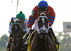Viva Rafaela the Long Island Speedster Viva Rafaela the Long Island Speedster