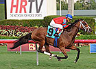 Viva Rafaela Makes U.S. Stakes Debut Viva Rafaela Makes U.S. Stakes Debut