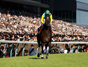 Japanese Horse of the Year Vodka Retired Japanese Horse of the Year Vodka Retired