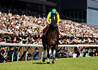 Japanese Horse of the Year Vodka Retired Japanese Horse of the Year Vodka Retired