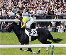 Vodka First Filly Since 1943 to Win Japanese Derby Vodka First Filly Since 1943 to Win Japanese Derby