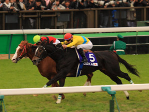 Vodka Scores Popular Victory in Japan Cup Vodka Scores Popular Victory in Japan Cup
