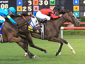 Volcat Victorious in Virginia Oaks Volcat Victorious in Virginia Oaks