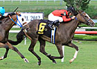 Pin Oak Valley View to Be Run in Divisions