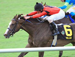  Pucker Up Draws Full Field of Twelve