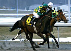 Seven 3YOs Do Battle in Northern Dancer S. Seven 3YOs Do Battle in Northern Dancer S.
