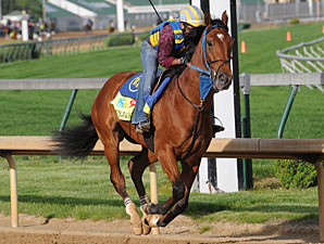 Derby Entrant Vyjack Breezes Derby Entrant Vyjack Breezes
