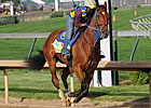 Derby Entrant Vyjack Breezes Derby Entrant Vyjack Breezes