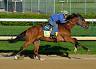 Vyjack Heads Derby Works with Half Mile Move