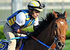 Vyjack Breezes Five Furlongs at Belmont Park