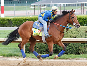 Trainer Rodriguez Guides Vyjack at Churchill Trainer Rodriguez Guides Vyjack at Churchill