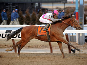 Vyjack Remains on Course for Kentucky Derby Vyjack Remains on Course for Kentucky Derby