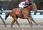 Vyjack Aims for One More Win in Queens County Vyjack Aims for One More Win in Queens County