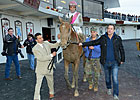 Vyjack Trainer Rodriguez Suspended 20 Days Vyjack Trainer Rodriguez Suspended 20 Days