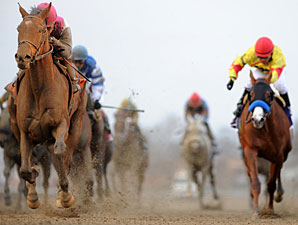 Equine Fatal Injury Rate is Steady in 2012 Equine Fatal Injury Rate is Steady in 2012